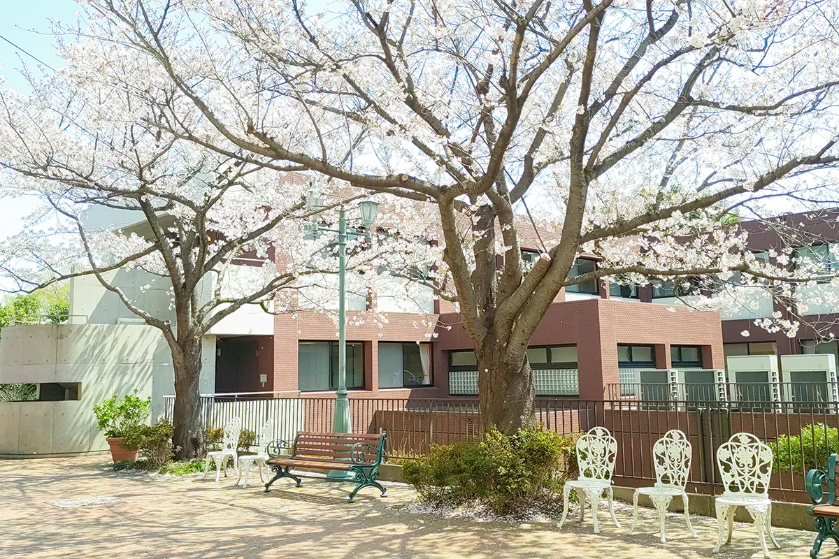 施設の外観写真。施設の前に桜の木の花があり、桜の花が咲いている。